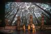 Stage_7_TNG_5363